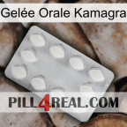 Gelée Orale Kamagra 16